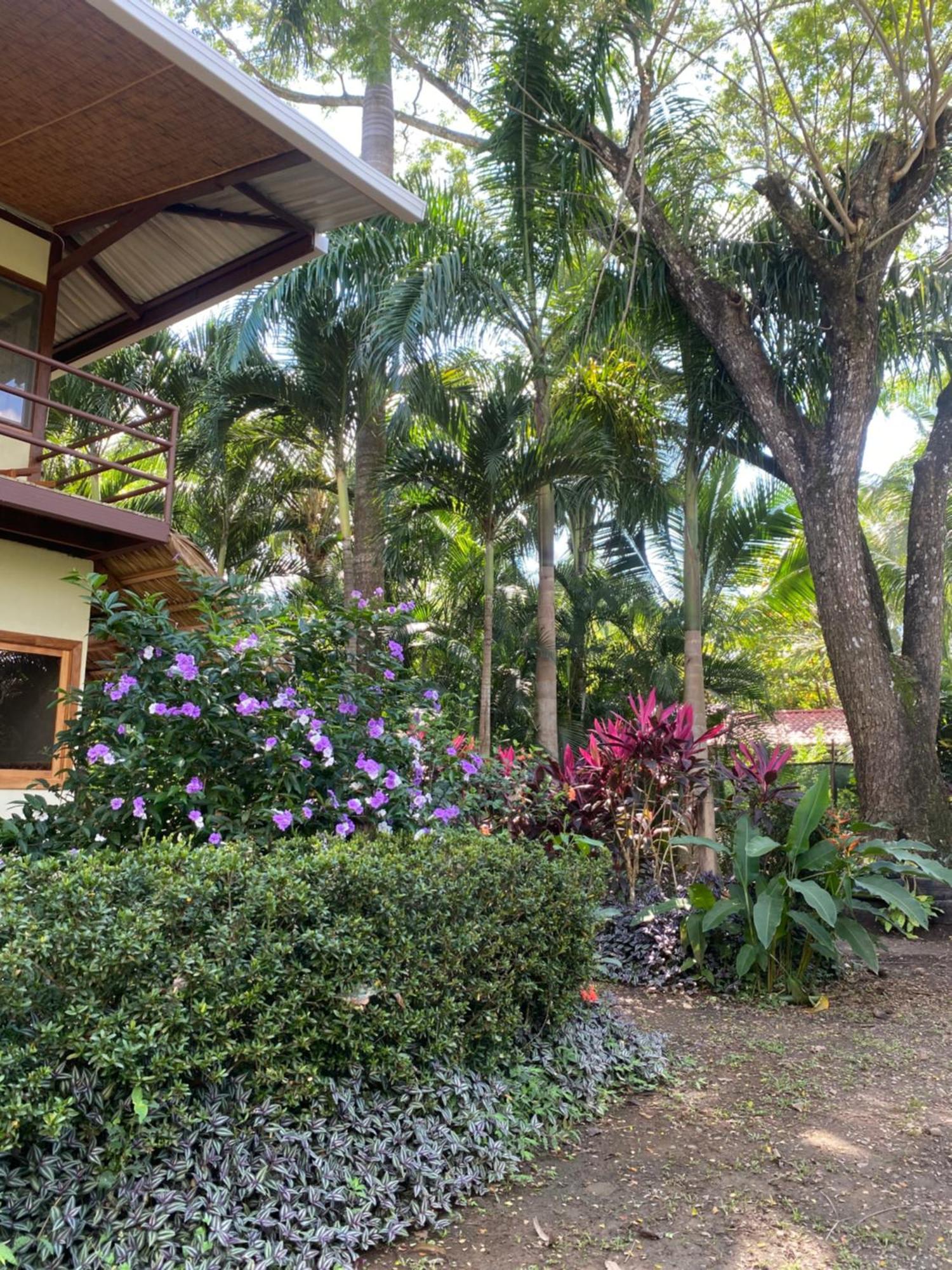 Jazlyn Lodge & Tours Paquera Exterior photo
